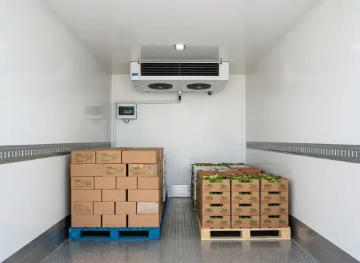 Mercedes 10 Ton Chiller Truck